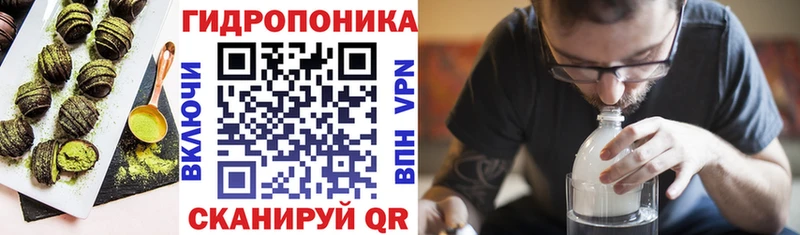 Canna-Cookies конопля  Купить где  Барабинск 