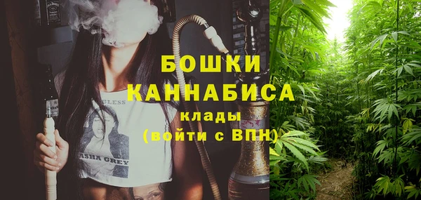 mdpv Рославль