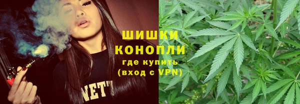 шишки Магадан