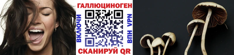 Купить  Барабинск  Псилоцибиновые грибы MAGIC MUSHROOMS 